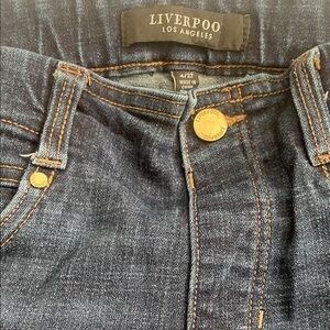 Liverpool Dark Wash Men's Jeans